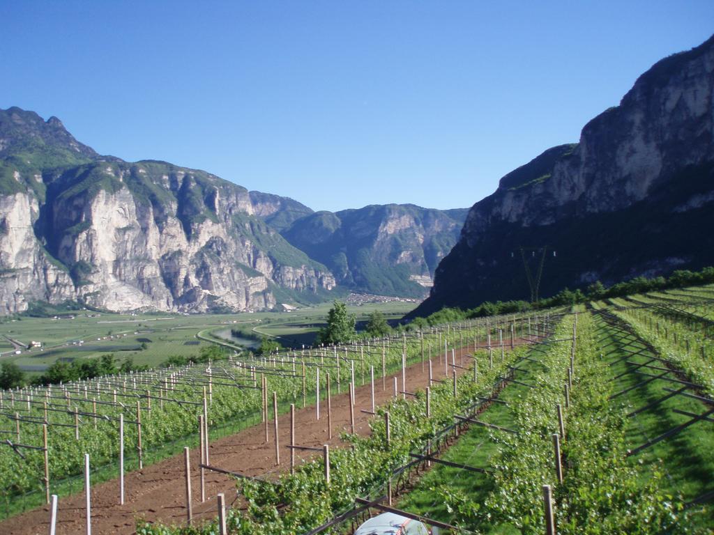 Agritur Maso Barco Villa Faedo Exteriör bild