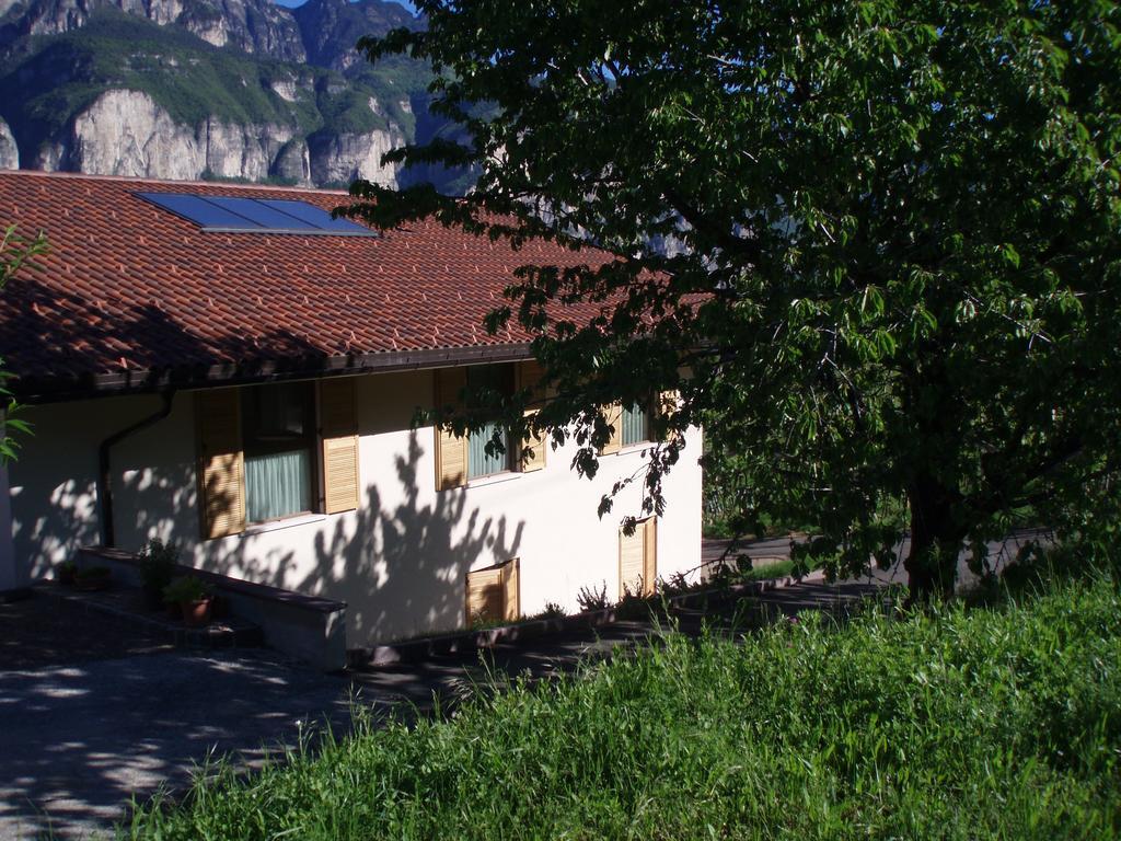 Agritur Maso Barco Villa Faedo Exteriör bild